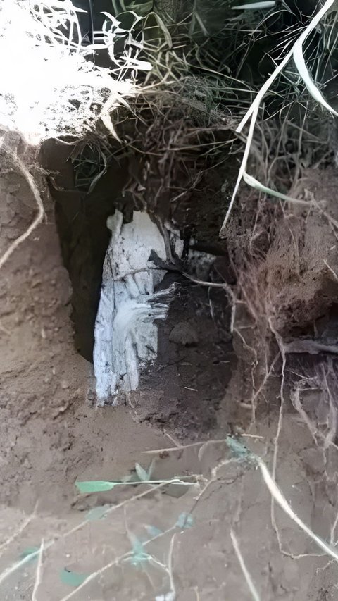 Chilling! Digging a Grave for a Neighbor, Grave Digger is Surprised to Find a Corpse Still Intact and Smelling Fragrant After Being Buried for 15 Years