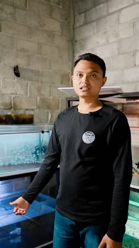 Berawal dari Hobi, Pria Asal Kediri Raup Omzet Rp90 Juta per Bulan dari Budidaya Ikan Hias