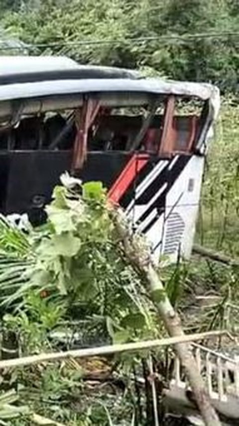 It Happened Again! Convoy Bus of MIN 1 Pesisir Barat Falls into a Ravine in Lampung, 6 People Injured