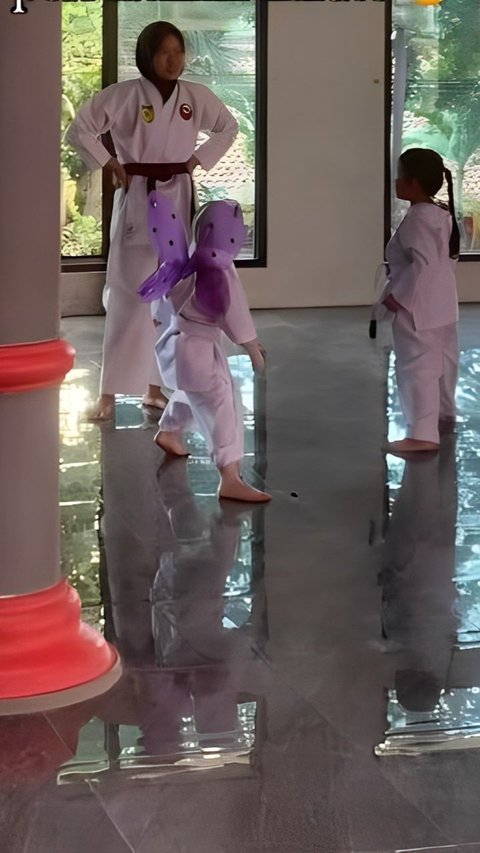 So Funny, the Appearance of a Child Wearing Fairy Wings During Karate Practice