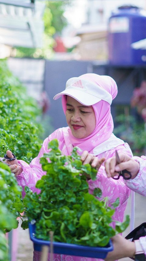 BRInita, Kelompok Dasawisma Pisang di Palembang Sulap TPS Liar Jadi Urban Farming Bernilai Ekonomis