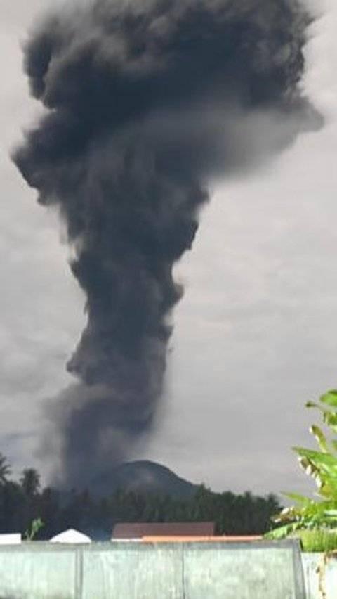 Gunung Ibu Erupsi Lagi, Munculkan Awan Abu Vulkanik Raksasa