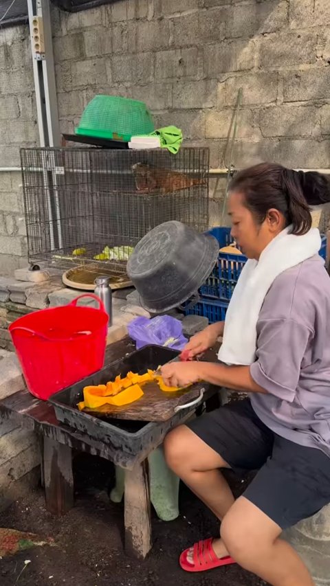 Pakai Celana Pendek dan Kaos Oblong, Begini Gaya Santuy Soimah saat Beri Makan Kura-Kura