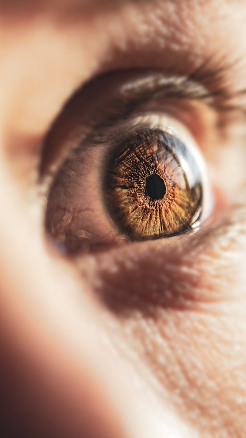 Jenis Gangguan Retina dan Cara Mencegahnya, Wajib Diketahui