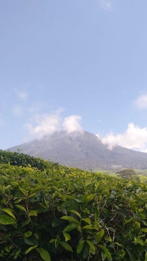 Gunung Api Dempo Pagaralam Erupsi Lagi, Semburkan Abu Sejauh 300 M