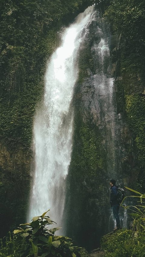 Mengunjungi Air Terjun Putri Malu, Tingginya Mencapai 80 Meter dan Dikelilingi Alam yang Asri