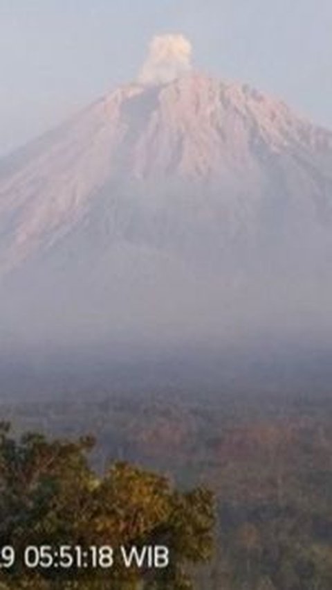 Gunung Semeru Kembali Erupsi, Lontarkan Abu Vulkanik Setinggi 500 Meter