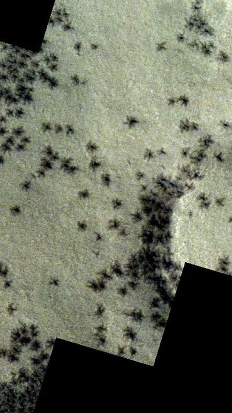 Hundreds of 'Spiders' Sighted on the Surface of Mars?!