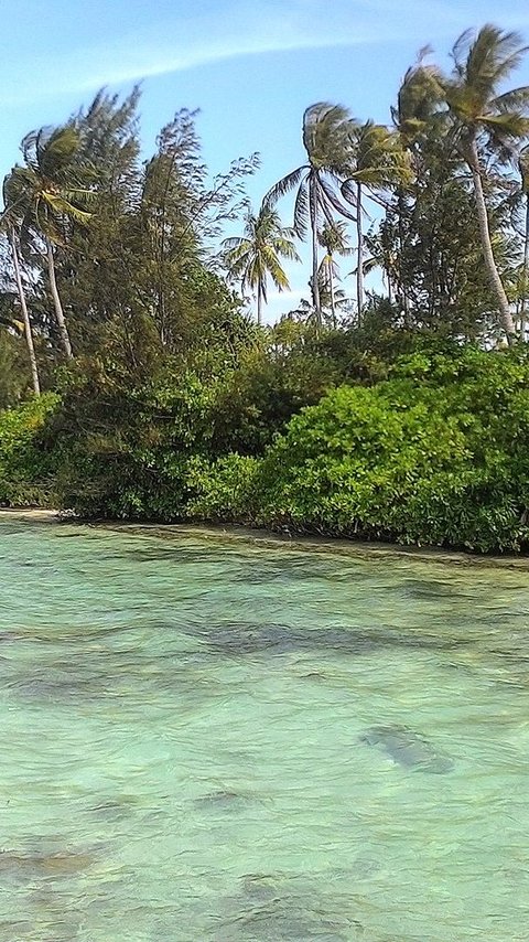 Mengunjungi Pulau Menjangan Kecil, Surga Bawah Laut di Kepulauan Karimunjawa