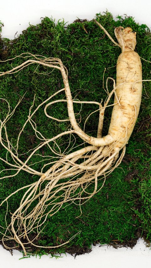 8 Manfaat Ginseng untuk Rambut, Bantu Atasi Ketombe