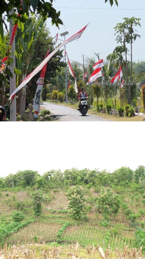 Potret Kampung Terpencil di Tuban, Dulu Tak Ada Listrik dan hanya Bisa Diakses dari Daerah Lain