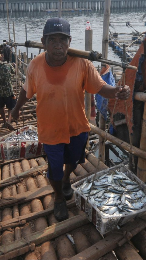 FOTO: Konsumsi Ikan Sarden hingga Teri Cegah 750 Ribu Kematian pada 2050