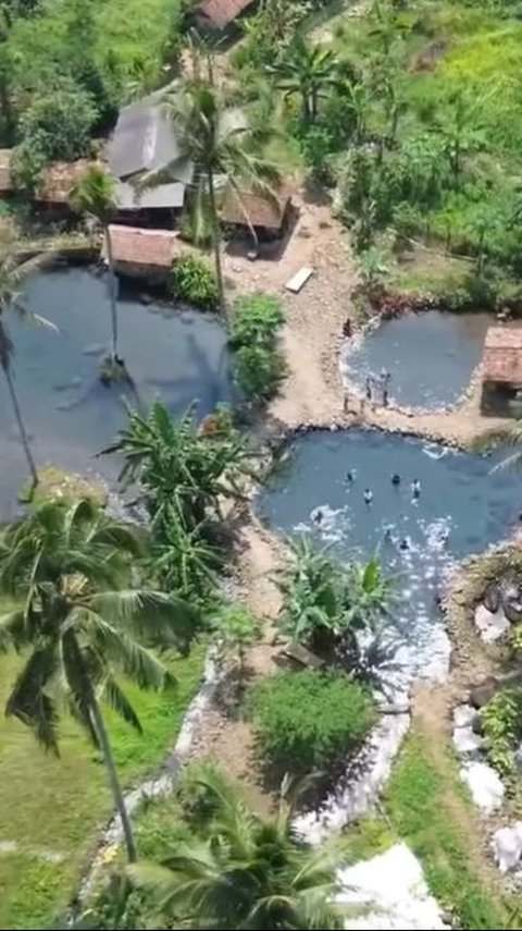 Ada Kolam Alami di Tengah Sawah Subang, Air Jernihnya Curi Perhatian