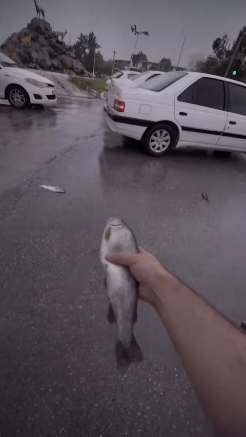 Heboh Video Fenomena 'Hujan Ikan': Berjatuhan dari Langit, Menggelepar di Jalan Raya