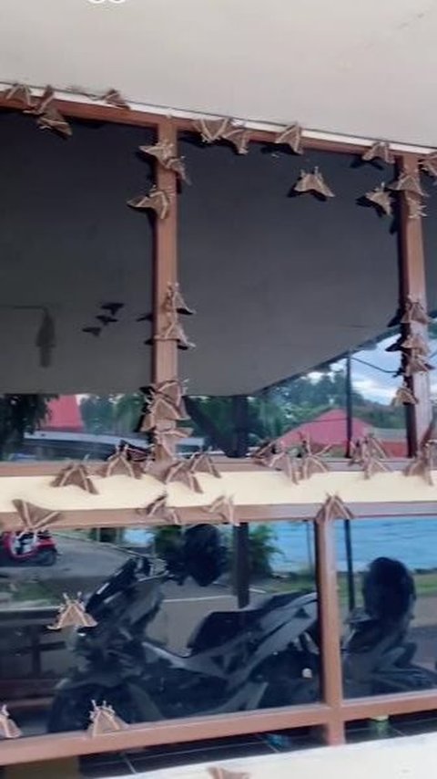 Video Viral Ribuan Kupu-Kupu Malam Serbu Polres Mentawai, Pertanda Apa?