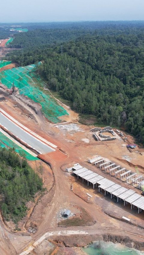 Kejar Target Jadi Kota Netral Karbon, Lahan Eks Tambang di Kawasan IKN Ditanami 1.600 Bibit Pohon