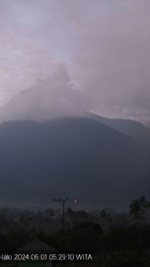 Gunung Lewotobi Laki-Laki Erupsi: Warga dan Wisatawan Diminta Menjauh 2 Km