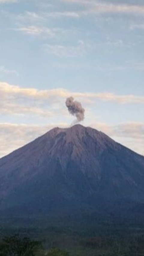 Gunung Semeru Erupsi Disertai Guguran Lava Pijar
