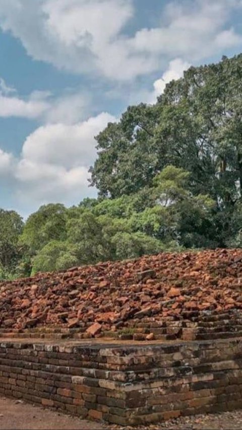 Jadi Situs Termegah se-Asia Tenggara, Intip Kawasan Candi Muaro Jambi yang Akan Direvitalisasi