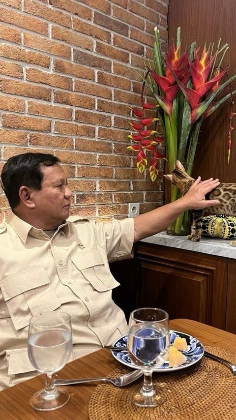 Momen Hangat Prabowo Makan Ditemani Kucing Leopard, Dielus-elus