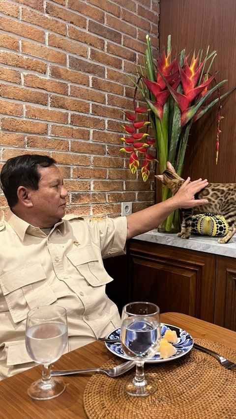 Momen Prabowo Santai Bareng Kucing Corak Leopard, Netizen: Bobby Nangis di Pojokan