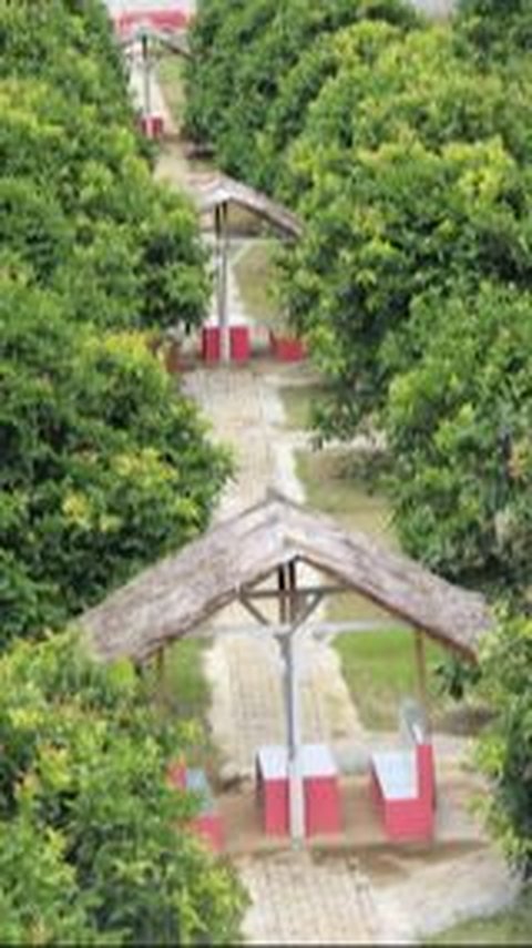 Berpotensi Jadi Kawasan Ekowisata, Intip Keindahan Namorambe di Deli Serdang