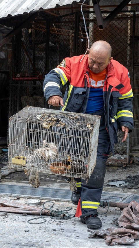 FOTO: Kondisi Pasar Hewan Terbesar di Thailand Ludes Terbakar, Ribuan Binatang Mati Terpanggang