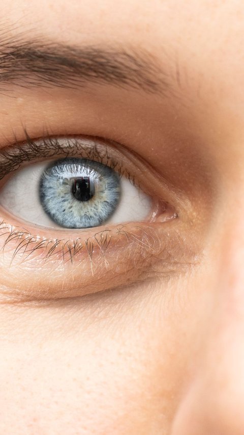 Mengenal Glaukoma: Penyebab, Gejala, dan Cara Mencegahnya