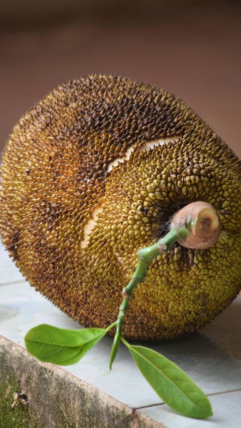 Is Jackfruit Safe to Consume for People with High Cholesterol? Here's the Explanation