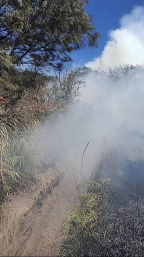 Savana Bromo Kembali Kebakaran, Api Belum Padam Sejak Selasa Malam