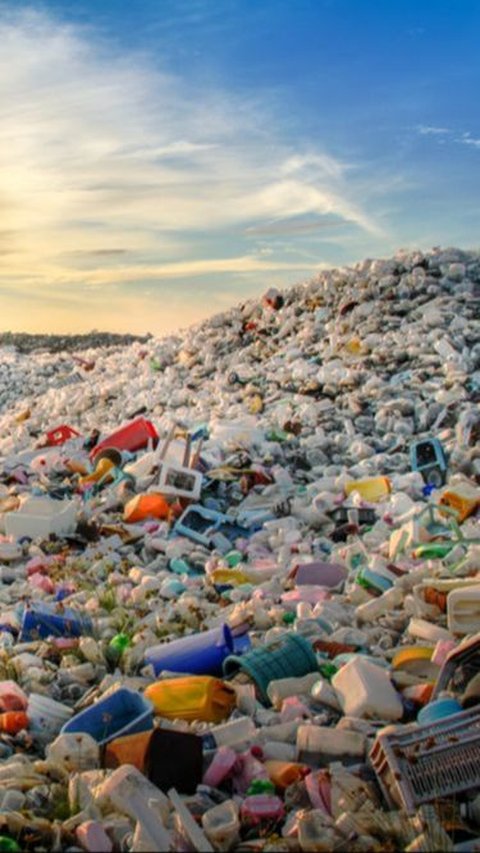 Sampah Plastik Idul Adha Diprediksi Menumpuk Hingga 608 Ton, Ternyata Ini Penyebabnya