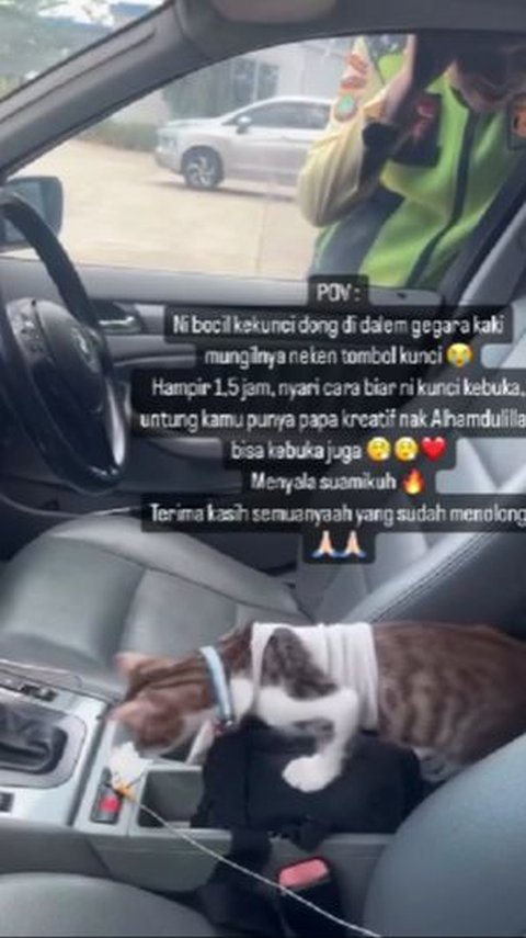 Momen Lucu Mobil Terkunci dari Dalam Gara-Gara Tingkah Kucing