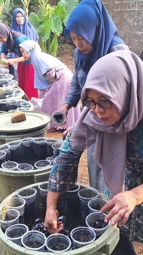 Budidamber Jadi Program Klasterisasi Idaman Nasabah PNM di Banyumas