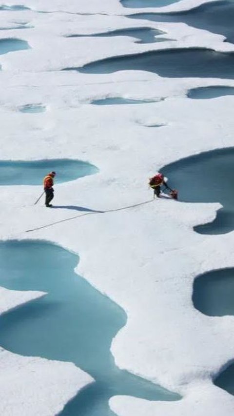 Gunakan Teknologi Canggih, Start Up Ini Bakal Membekukan Kembali Es di Kutub Utara, Begini Cara Kerjanya