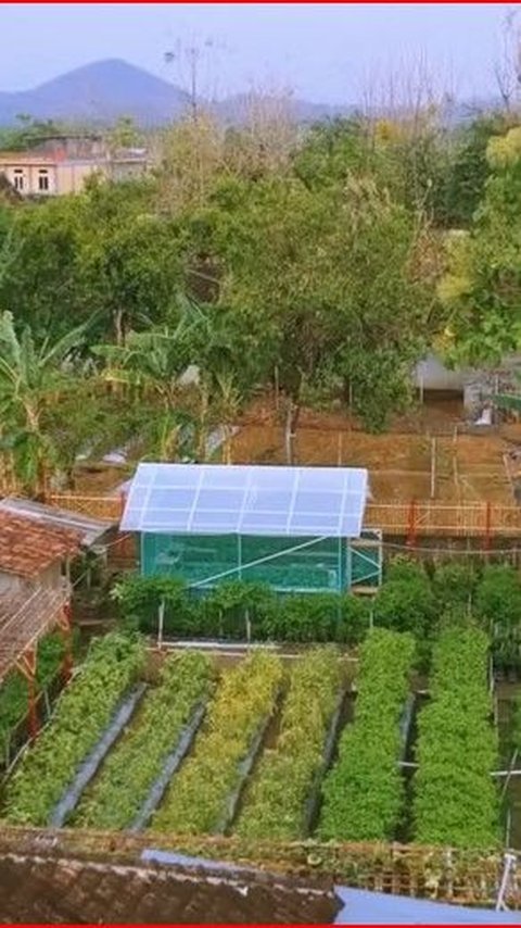 Berawal dari Sepedaan Bareng, Ibu-Ibu di Wonogiri Ini Sulap Lahan Tidur jadi Kebun Sayur