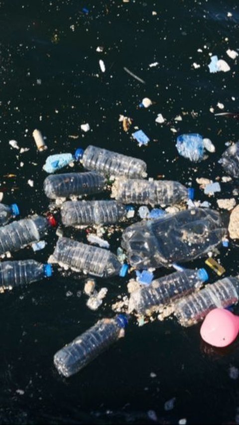 Ternyata Masyarakat Indonesia Mengonsumsi Plastik Tertinggi di Dunia, ini Efeknya Amat Mengerikan