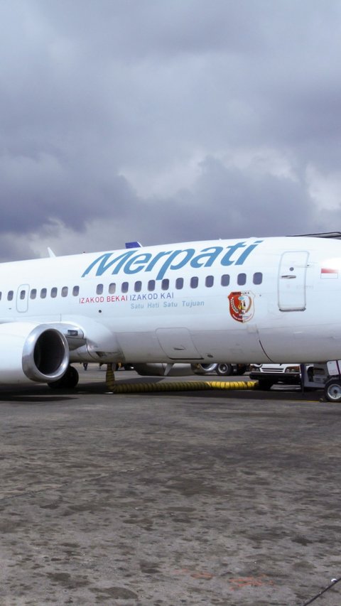 List of 8 State-Owned Enterprises (SOEs) that will Close, Including Merpati Airlines