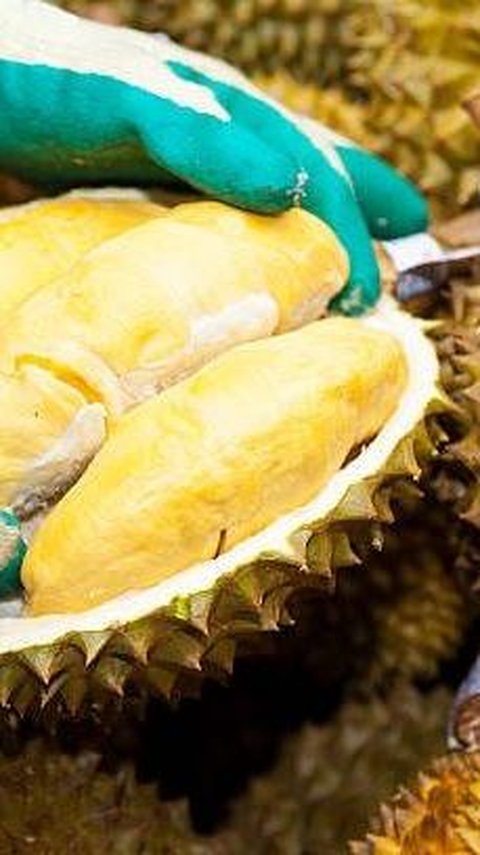Luhut Ungkap Indonesia Bisa Raup Cuan Rp131 Triliun Lewat Durian, Bagaimana Caranya?
