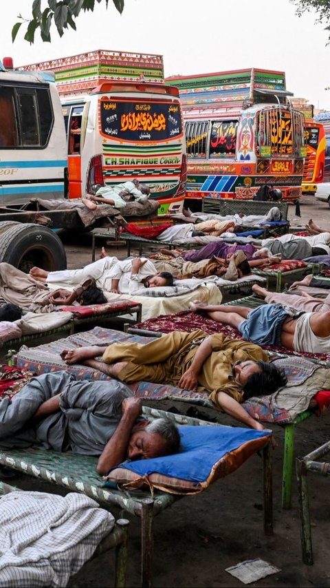 FOTO: Di Tengah Gelombang Suhu Panas Ekstrem, Sopir Bus di Pakistan Ini Justru Tidur Nyenyak di Luar Ruangan