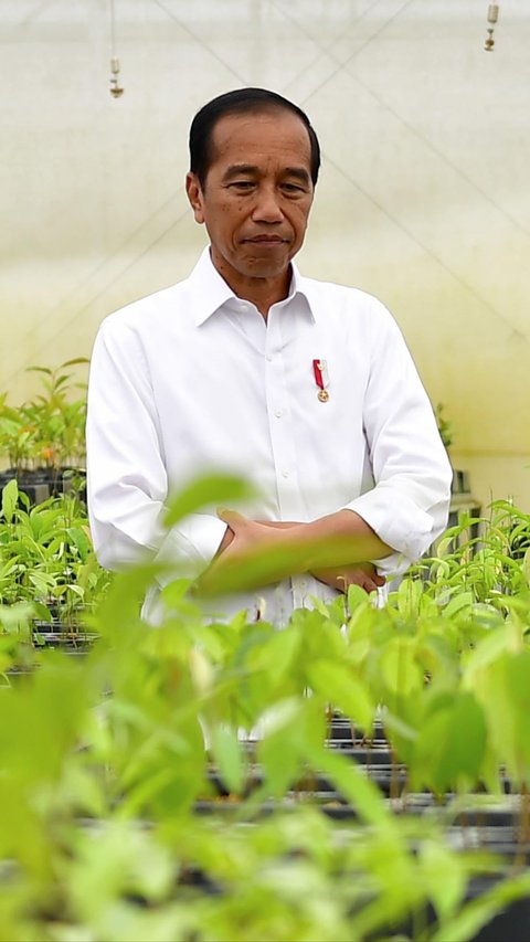 Jokowi Sebut Persemaian Mentawir Bisa Hidupkan Satwa Langka di Kalimantan