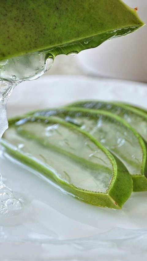 How to Use Aloe Vera for Hair: Steps You Need to Follow!