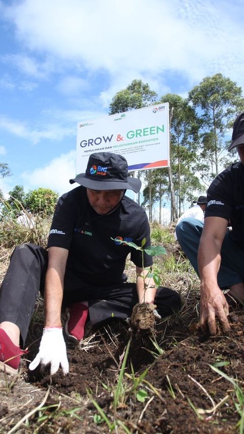 BRI Pulihkan Ekosistem dan Lawan Perubahan Iklim Melalui Program BRI Menanam Grow & Green