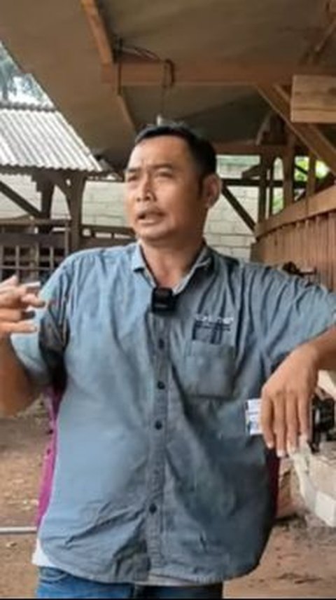 Dulu Bisnis Lada Hancur, Pria Ini Kini Beternak Kambing Sukses Bisa Beli Tanah dan Lunasi Utang