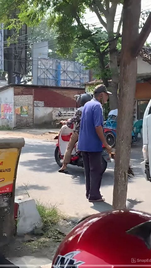 Seorang cewek berhenti terlalu dekat saat lampu merah, untuk menghindari kepanasan namun menyebabkan kemacetan.