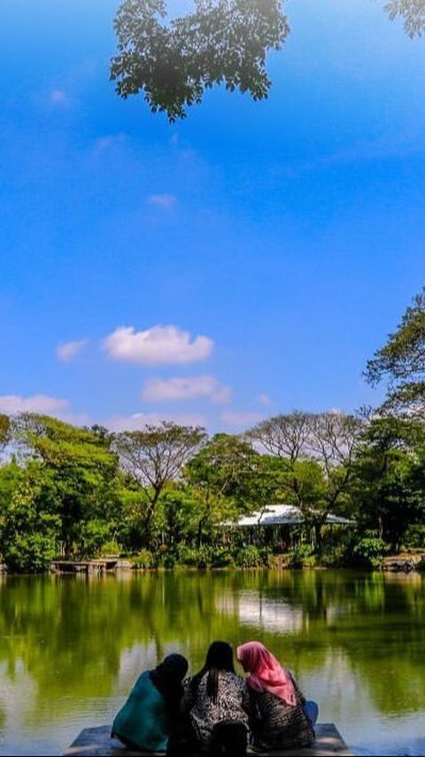 Kebun Bibit Wonorejo Spot Menenangkan Diri di Tengah Hiruk Pikuk Surabaya, Tempatnya Teduh dan Syahdu