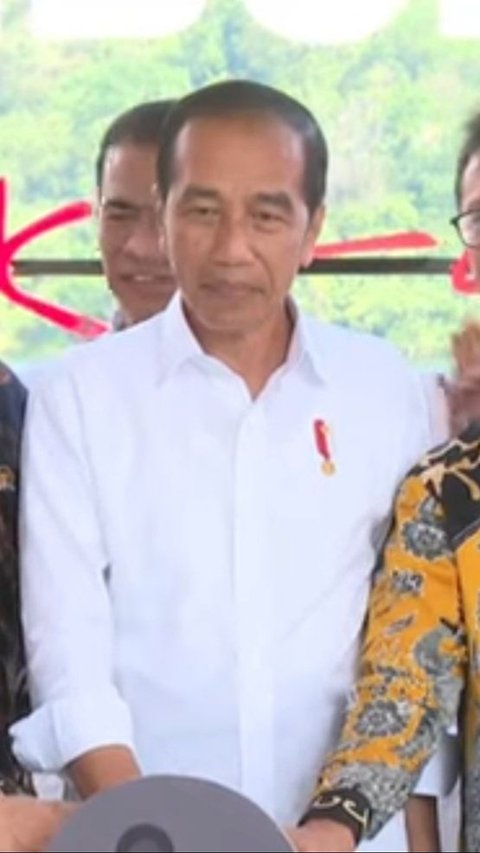 Jokowi Bentuk Badan Khusus untuk Kakao dan Kelapa