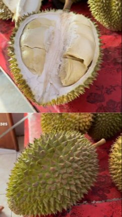 Mencicipi Si Kasmin Durian Premium Asli Pasuruan, Beratnya Capai 5 Kilogram dan Rasanya Sangat Manis