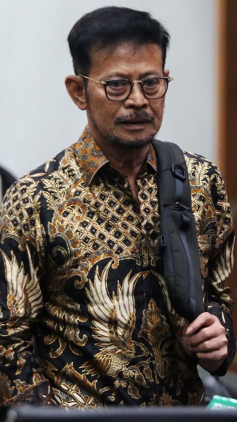 Hakim Vonis SYL 10 Tahun Penjara