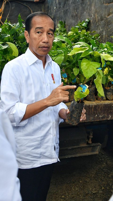 VIDEO: Jokowi Usai Panen Kopi 