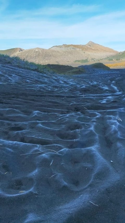 Mengenal Embun Upas, Fenomena yang Kembali Muncul di Wisata Gunung Bromo